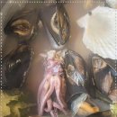 용산-217 이미지