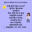 주방장식당 이미지