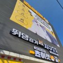 고양이를 사랑하는 남자 | 청주 고양이카페 쵸이캣 청주점 이용후기