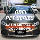 brown & black | 부천랩핑 벤츠 랩핑 OBEL SATIN METALLIC GOLD BROWN 골드브라운 시공 후기