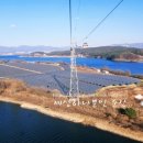 물고기태양광발전소 이미지