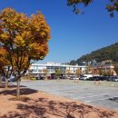 (구)주성중 이미지