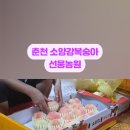 선웅농원 이미지