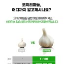 케이앤메디칼 네이버블로그