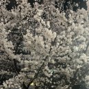 (주)타운어스 | [대관장소 추천] 서울 힙한 파티룸 '어스스페이스' - 로테이션 소개팅, 모임, 파티까지 완벽 접수! ✨