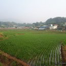 세종...송학리 들말 벅수 이미지