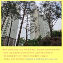 밤섬자이공인중개사사무소 이미지