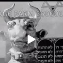 명비디오 이미지