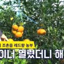 탱자농수산