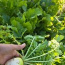 미르목장 이미지