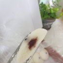 보름기정떡 광교상현점 이미지