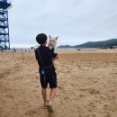 해둥실