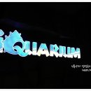 (주)아리움 이미지