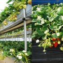 해보농장 이미지