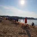 돌고래펜션민박 이미지