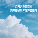 경주 별빛키즈 애견 풀빌라 이미지