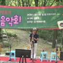 44회봉황각나눔음악회 솔로 (사부님) 이미지