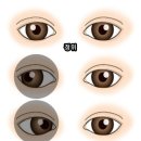 란안경원 티스토리