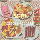 창현주유소 | 2022 | 2/23 ~ 28 제주 일상 ✏️