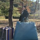 THY 띠 서울 팝업스토어 후기 : 원오디너리맨션 (레옹백, 플리츠 띠, 빈티지 가구)
