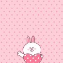 코니