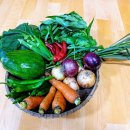 조계환농장 이미지