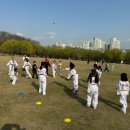 국가대표 한국태권도장 이미지