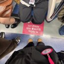 와이즈런 | 임신 11주~15주 ㅣ 4월 근황, 와이즈병원에서 차병원 전원하기 (박성철 교수님, 1차 기형아 검사, 첫...