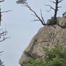 야시대로 이미지