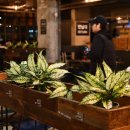 카페 압구정에서 이미지