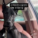 무례한 말 이미지