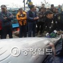 밍크 이미지