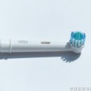 꼬마이치과의원 네이버블로그