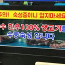 마굿간한우셀프식당 이미지