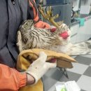 정읍농수산 이미지