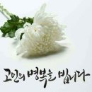 J Hair 이미지