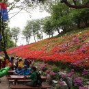 8단지입구사거리(철쭉동산쪽) 네이버블로그