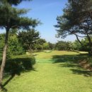 서남물파크골프장 | 서남물재생센터 파크골프장 예약방법 및 이용 후기 상세 안내