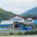 맛보는날 Daum카페