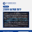 계양24시SKY동물병원