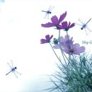 명호목장 이미지