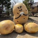 서울이앤이치과의원 이미지