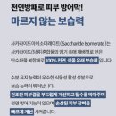 남성용올인원에센스 아임릿 DNA 화장품 사용 후기