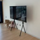 학산스테이 | [강릉] 강릉 독채펜션 학산스테이 가족여행 애견 동반 내돈내산 후기