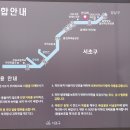 &#34;&#39;양재천&#39;(도곡역~선바위역) 걷기&#34;＜2025.01.14(화)＞ 이미지