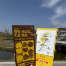 도소마을 앞 이동식화장실 | 양평 산수유 한우 축제 : 벚꽃까지 만끽하고 온 주차 및 화장실 꿀팁 후기