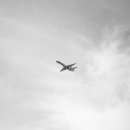 대구공항 네이버블로그