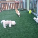 유폴 평택지제역점 이미지