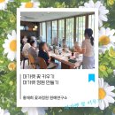 꽃과함께하는힐링원예 | 마가렛 꽃 키우기 마가렛 정원 만들기, 홍채희 꽃과정원 원예연구소와 함께하는 힐링 시간