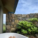 소도 스테이 이미지